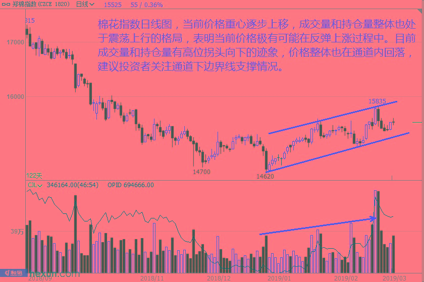 ���ţͯ��3��5�ղ��̲���